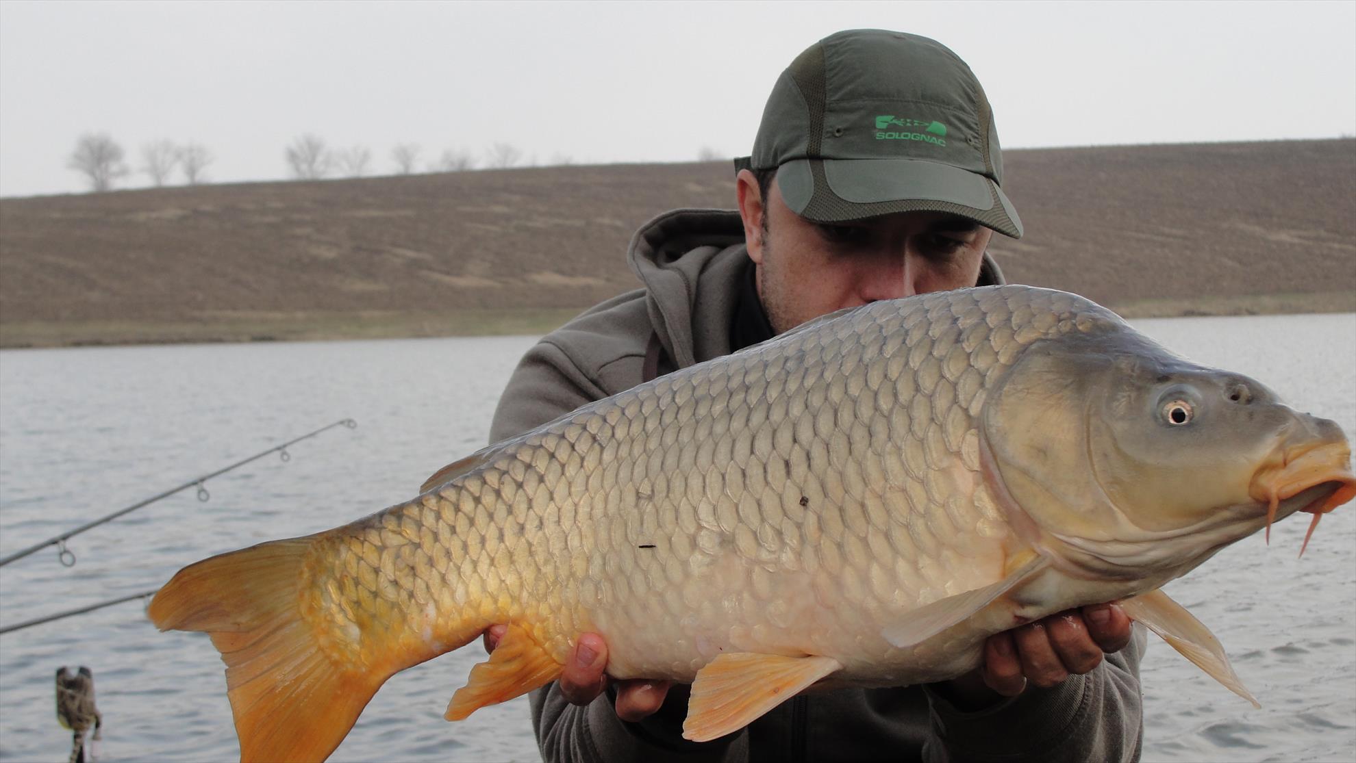 Greaca Cercani 28 feb. - 1 mar.